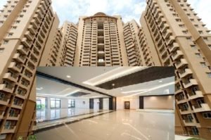 Birthday party organisers 